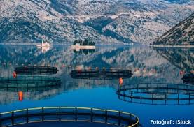 Sürdürülebilirlik